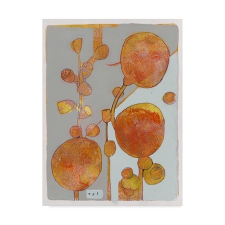 Maria Pietri Lalor 'Orange Seed Pods' Canvas Art,18x24